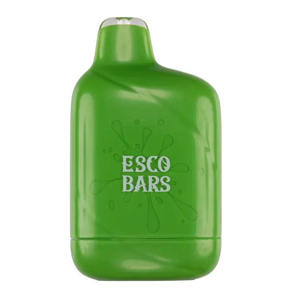 BUY 1 GET 1 FREE Spearmint Esco Bar 6000 | Vape Amazon India